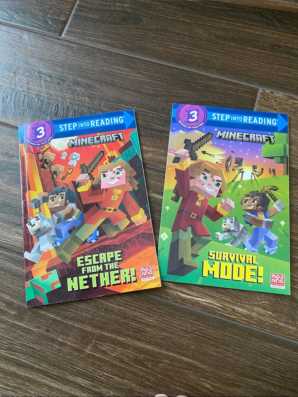 Kids Book Set - Escape From The Nether & Survival Mode